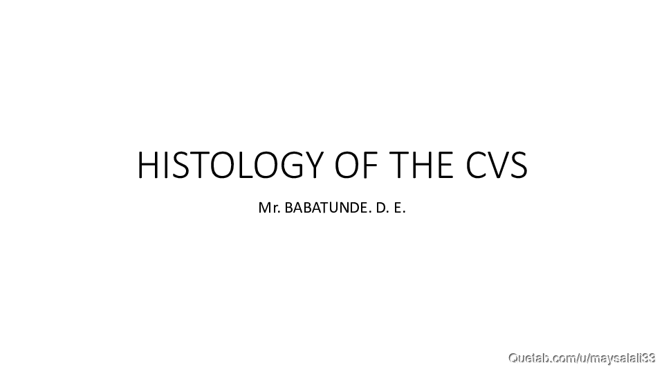 HISTOLOGY OF THE CVS