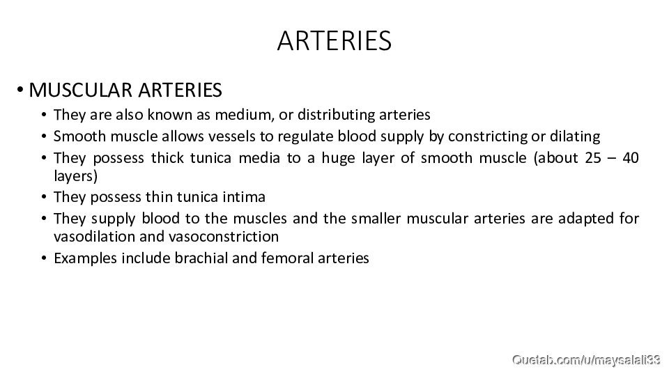 HISTOLOGY OF THE CVS