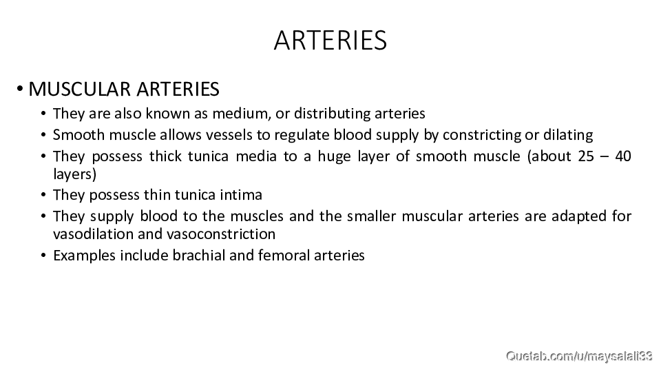 HISTOLOGY OF THE CVS