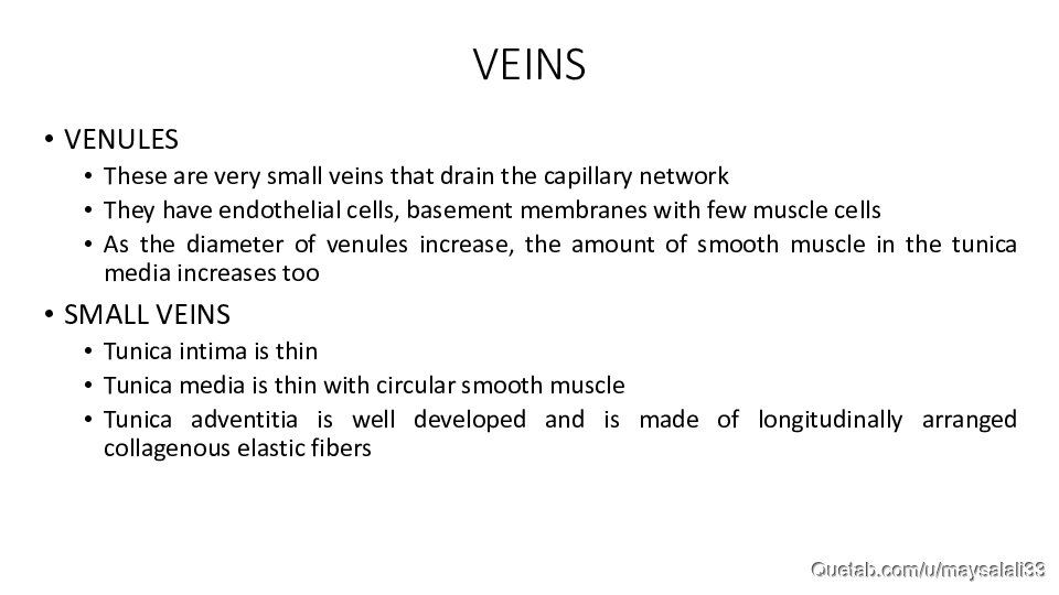 HISTOLOGY OF THE CVS