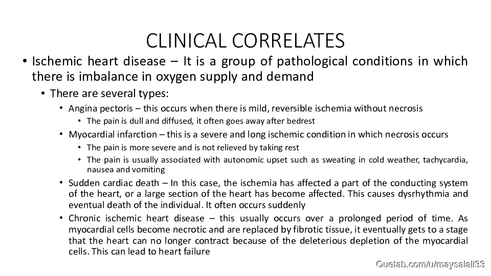 HISTOLOGY OF THE CVS