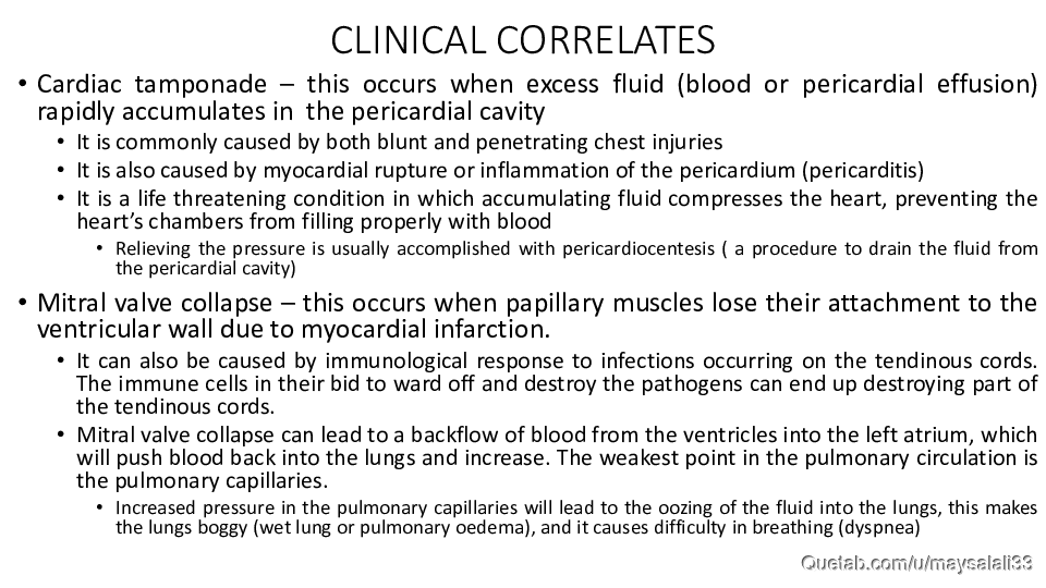 HISTOLOGY OF THE CVS