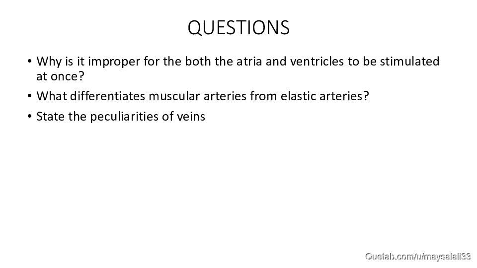 HISTOLOGY OF THE CVS