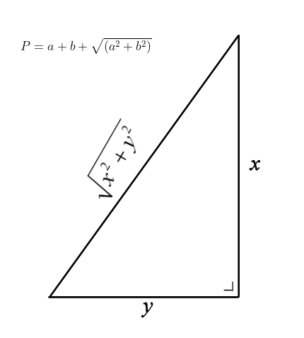 P=x+y+((x^2+y^2)^(1/2))

x and y= the lengths of the two legs of the triangle
