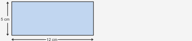 Calculate the perimeter of the rectangle.