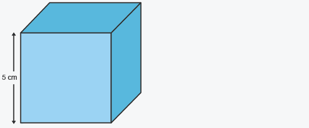 Work out the volume of this cube.
